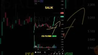 Salik Is Flying