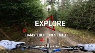 HAMSTERLY FOREST