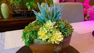 Succulent Arrangement in Repurposed Wooden Bowl