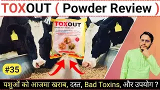 TOXOUT Powder पशुओं में विषैला पदार्थ को बाहर निकलने में सहायक | Deepak PharmacisT Vet