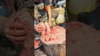 Amazing Giant pangua Sola Fish Cutting Skills Live In BD Fish Market #shorts