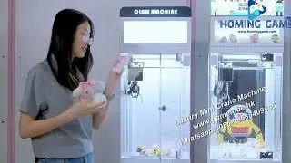 Coin Operated Luxury Mini Crane Claw prize game machine for sale by HomingGame