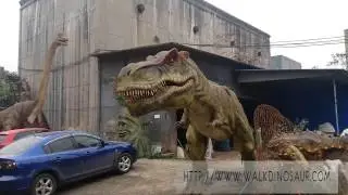 Zigong vivid animatronic 3d dinosaur model for sale
