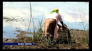 KZN farmers to claim drought relief funds within a week