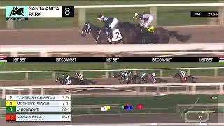Contrary Chieftain Wins Race 8 on Sunday January 18 at Santa Anita Park