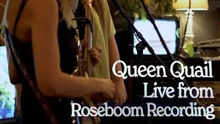 Queen Quail - Live at Roseboom Recording