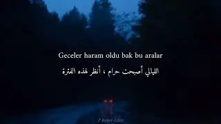zerrin &ouml;zer basit numaralar أغنيه تركيه مشهوره علا تيك توك 2024 .