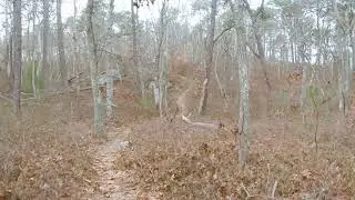 MTB Cape Cod: Camp Greenough