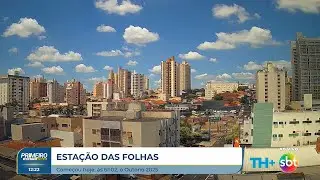 Outono come&ccedil;ou &Agrave;s 6h02 com temperaturas mais amenas na regi&atilde;o.