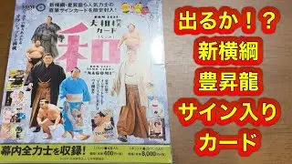 BBM2025大相撲カード「和」-NAGOMI- トレーディングカード開封動画　3箱開封　出るか！？新横綱　豊昇龍サイン入りカード　sumo trading cards 3BOX BREAK