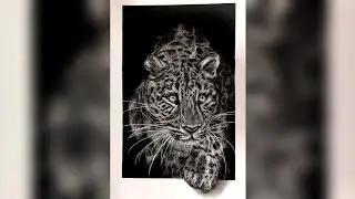 Realistic 3D Tiger Drawing✍️❤️ || Part 1 || Full Tutorial || By Sketchandme
