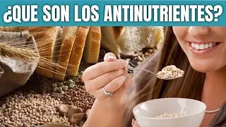 Qu&eacute; Son los Antinutrientes? ⚠️ Descubre los Alimentos que los Contienen y su Impacto en tu Digesti&oacute;n