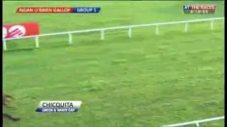 Ballydoyle gallops (part four)