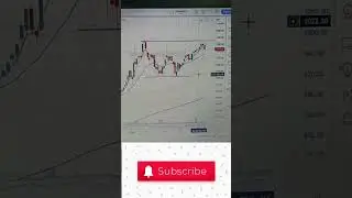 Macrotech developers share| #doublebottom #analysis  11/03/2024