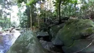 360 Video: Tropical rainforest creek