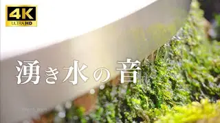 【自然の音ASMR】4K 湧水の音 / nature sounds 高音質 3h