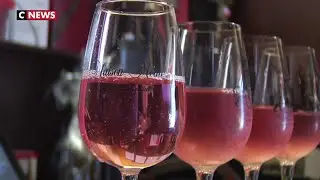 Le vin de rhubarbe revient sur les tables