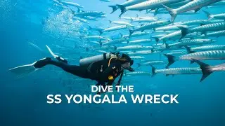 Scuba Dive the SS Yongala Wreck | Australia's Best Wreck Dive