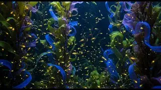 Música ambiental de piano suave con sonido de olas para relajación profunda y meditación