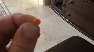 Smallest skittle in the world.