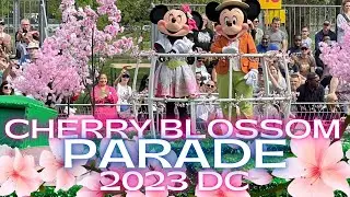 The National Cherry Blossom Festival Parade 2023 DC #dc #fyp #festival
