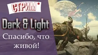 DARK and LIGHT. Спасибо, что живой!