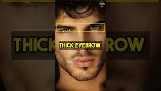 🔥Get Thick Eyebrows Like a Model | Day 17/90 | #shorts #thickereyebrows #mensfashion