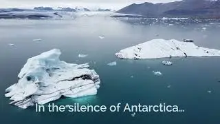 In the silence of Antarctica&hellip;| Enjoy the Moment | Silent Space Hub