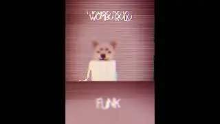 WOMBO ROLLO FUNK