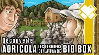 Agricola : Les Fermiers de la Lande - Élevage intensif