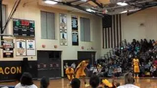 Harlem Wizards in Beacon,NY introduction