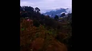 #Askote