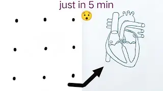 Human heart diagram from 9 Dots | how to draw human heart diagram easy step by step | Binteriaz Art