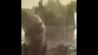 Big monkey