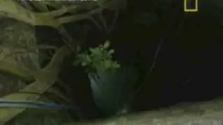 Expedicion al cenote de Holt&uacute;n con NaGeo, Maya Underworld