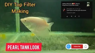 DIY Top Filter Making.