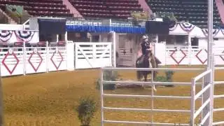 AQHA Versatility Ranch Horse Amateur Trail (See Obstacles)