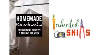 A basic overview of how we brew kombucha - 3 gallons a week for a family of 6