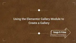 Using the Elementor Gallery Module to Create a Gallery | Elementor Tutorial | Basic Tutorial