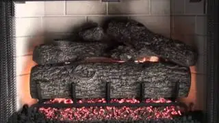 Peterson Gas Logs   Golden Oak Demo