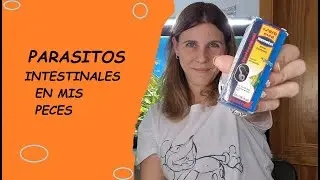 Parásitos intestinales en mis peces
