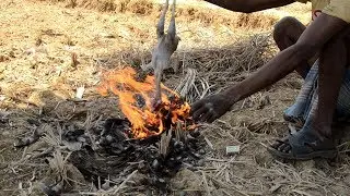 Tribal Chicken Recipe | Healthy and Tasty Chicken Recipe in the World | Roasted Chicken Recipe