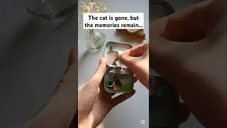 KEEP THE MEMORIES OF YOUR PET ❤️&zwj;🩹 #diy #pets#memories #papercraft#love