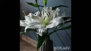 KOTLAEV DANIL &mdash; Mourning For Hope