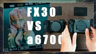 Which one is right for you ? Detailed Comparison ! | FX30 vs a6700 POV Review