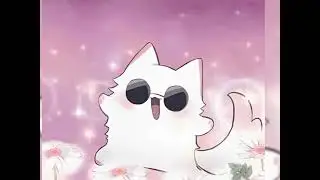 Cat is gojo satoru 