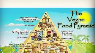 WHY GO VEGAN? #HowToGoVegan