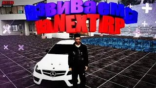 NEXT RP как развиться быстро на сервере????