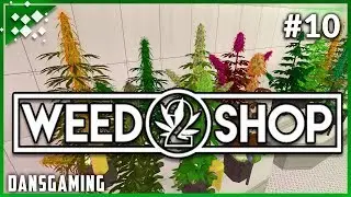 Let's play Weed Shop 2 (Part 10) - PC Gameplay w/ DansGaming