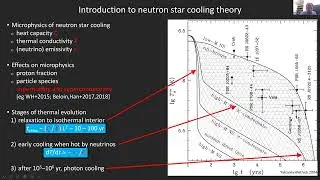 N3AS Seminar: Cooling of the Cassiopeia A neutron star and superfluid implications